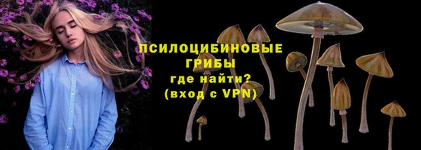Альфа ПВП Баксан
