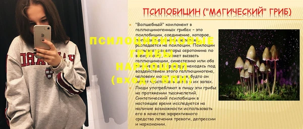 Альфа ПВП Баксан