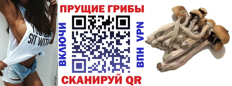 Галлюциногенные грибы мухоморы  Ногинск 