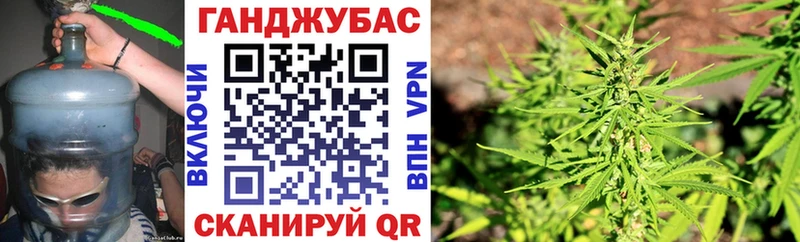 где купить   Ногинск  KRAKEN маркетплейс  Бошки марихуана ГИДРОПОН 